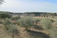 (Προς Πώληση) Αξιοποιήσιμη Γη Οικόπεδο || Ανατολική Αττική/Βάρη-Βάρκιζα - 550 τ.μ, 300.000€ 